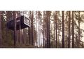 Hotel Ini Dibangun di Atas Pohon di Tengah Hutan, Intip, yuk!
