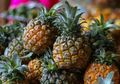 Mengandung Kadar Air yang Tinggi, Inilah 5 Buah Penghilang Haus