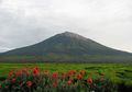 Gunung Tertinggi Apa saja yang Ada di Indonesia? Cari Tahu, Yuk!