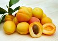 Mulai dari Apel sampai Buah Kenari, Inilah 5 Makanan yang Menyehatkan Paru-Paru Kita