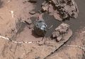 Meteorit Aneh di Planet Mars