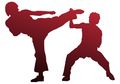 Ingin Berolahraga Karate? Ketahui Dulu 4 Fakta Menarik Ini