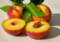 Selain Kaya Manfaat Buah ini Mirip Seperti Buah Apel, Buah Apa ya Ini?