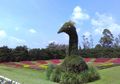 Menyaksikan Ribuan Bunga di Taman Bunga Nusantara
