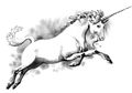 Kisah Tentang Unicorn
