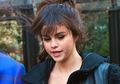 5 Seleb Hollywood yang Pernah Marah Kepada Paparazzi. Kenapa, ya?