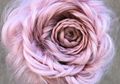 Inspirasi Rambut 'Braided Rose' yang Cantik Dipakai Saat Perpisahan Sekolah