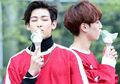 Berbentuk Palu hingga Anak Burung, Berikut 7 Lightstick dengan Desain Paling Unik