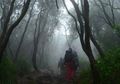 6 Hutan Angker di Indonesia yang Penuh Dengan Cerita Misterius