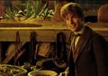 5 Alasan Kita Wajib Menonton Film Fantastic Beast and Where To Find Them