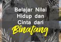 Belajar Nilai Hidup dan Cinta dari Binatang