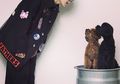 10 Kpop Idol yang Punya Hewan Peliharaan. Kamu Punya Hewan yang Sama dengan Mereka?