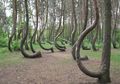 16 Misteri Alam yang Sangat Menakjubkan. Bikin Enggak Nyangka!