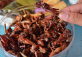 Berani Coba Makanan Indonesia Paling Ekstrem Ini? Intip Yuk!