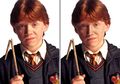 Perbandingan 13 Tokoh di Film Harry Potter yang J.K. Rowling Bayangkan dengan Tokoh di Film. Suka Yang Mana?