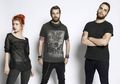 Konser Paramore Diganggu Seekor Sigung