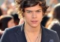 Harry Styles Sibuk Kursus Pilot