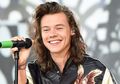 Harry Styles Mengaku Dialah yang Membuat Nama One Direction