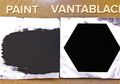 Ini Dia Warna Hitam yang Paling Hitam Sedunia (Iya, Kamu Nggak Salah Baca)