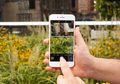 Ini Dia 10 Smartphone Dengan Kamera Terbaik Selain Galaxy S9.