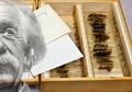 Inilah 7 Organ Tubuh Orang Penting Yang Dipamerkan Di Museum. Ada Irisan Otaknya Einstein!