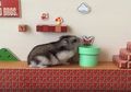 Hamster Ini Main Super Mario Bros di Dunia Nyata, Berhasil Nggak Ya?