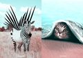 10 Binatang Fantasi Yang Dibuat Seniman Perancis Dengan Photoshop