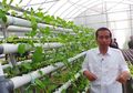 Jokowi "Nyapres", Pengembang Rumah Murah Semringah