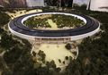 Apple Bikin Markas Baru Berupa "Cincin Raksasa" yang Fantastis