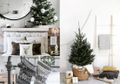 Enggak Harus Hijau dan Merah! Cek 6 Ide Dekorasi 'White Christmas' yang Enggak Boleh Dilewatkan