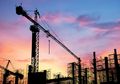 Ilmuwan Menjadikan Jamur Sebagai Perekat Beton yang Retak di Masa Depan!