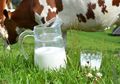 Tak Hanya Bagus Untuk Tubuh, Susu Juga Bisa Bikin Tanaman Jadi Segar! Intip Caranya!
