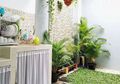 Hiasi Dapur Rumah Anda Dengan Tanaman, Yuk!