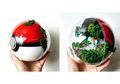 Seharga Smartphone, Dekorasi Rumah Unik Ini Berbentuk Pokeball!