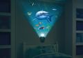 Wild Walls Shark Encounter, Selami Bawah Laut