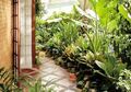 Taman Rumah: Yang Kecil Bisa Tetap Hijau dan Rimbun