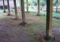 Inspirasi dari Rumah Panggung