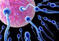 6 Fakta Mengejutkan tentang Sperma dan Kesuburan Pria