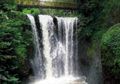 Tahura Ir. H. Djuanda, Wisata Murah Sarat Sejarah
