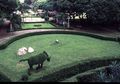 Taman Ganesha – Oase di Bandung Utara