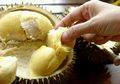 Tak Disangka, Ternyata Malah Ini Jenis Durian Terenak di Indonesia Versi Profesor Korea