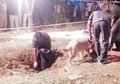 Kamaraj si Laki-laki India nan Malang, Menjadi Orang Pertama dalam Sejarah yang Tewas Kejatuhan Meteorit