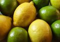 Jeruk Lemon atau Jeruk Nipis Tidak Ada Bedanya, Keduanya Efektif Membakar Kalori