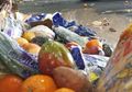Makanan dari Tong Sampah