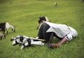 Ingin Mengetahui Kehidupan Seekor Kambing, Thomas Thwaites pun Menjadi Kambing