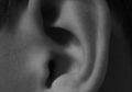Tinnitus, Telinga Berdenging