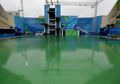Kok Tiba-tiba Air di Kolam Renang Olimpiadi Rio 2016 Berwarna Hijau?