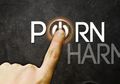 Ingat Baik-baik, Selain Merusak Rumah Tangga, Pornografi Bisa Bikin Lupa Diri