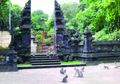 Mengenal Polah Kelelawar dan Kera di Alas Kedaton