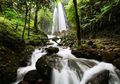 Liburan 3 in 1 ala Wisata Alam Trawas